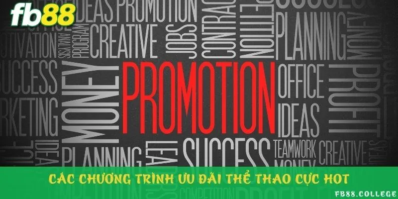 Cá cược thể thao tham gia các sự kiện ưu đãi siêu hấp dẫn