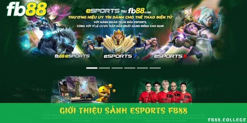 Sảnh thể thao điện tử sôi động, đầy kịch tính