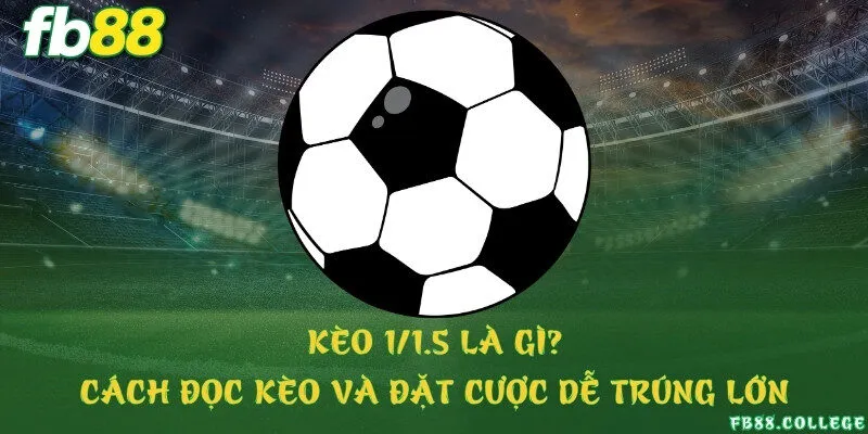 Kèo 1/1.5 là gì? Cách đọc kèo và đặt cược dễ trúng lớn