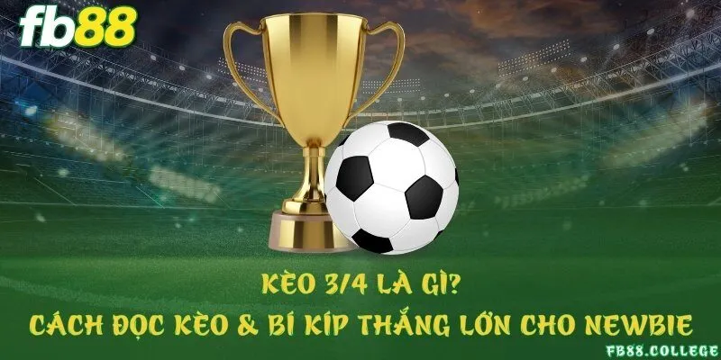 Kèo 3/4 là gì? Cách đọc kèo & bí kíp thắng lớn cho newbie