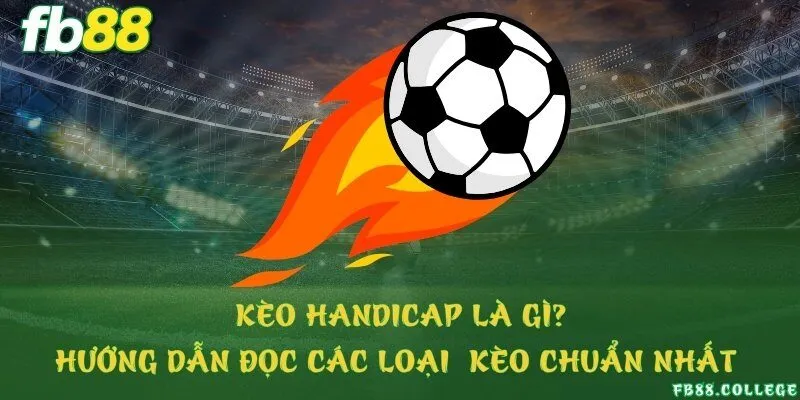 Kèo handicap là gì? Hướng dẫn đọc các loại kèo chuẩn nhất