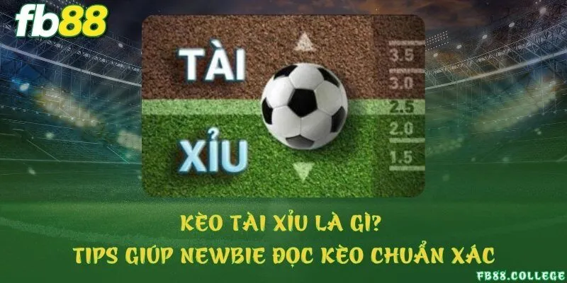 Kèo tài xỉu là gì? Tips giúp newbie đọc kèo chuẩn xác